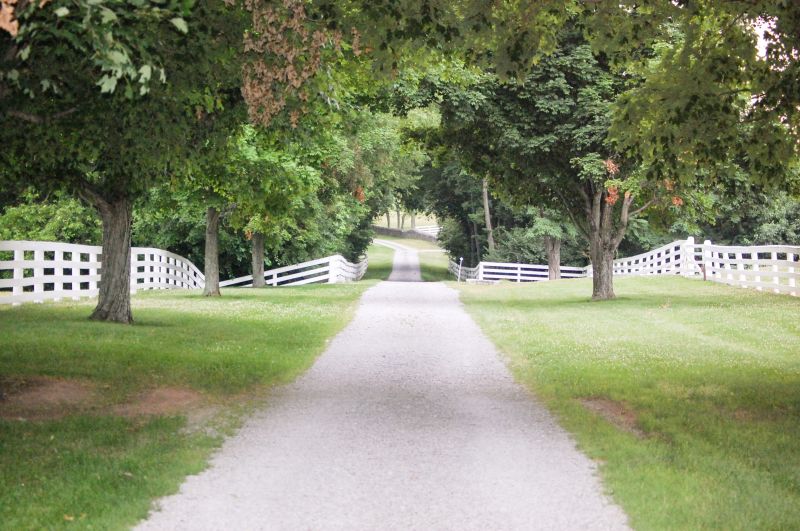 Gravel Driveway Repair