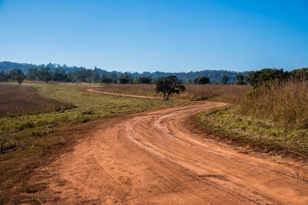 Dirt Driveway Repair in Brentwood
