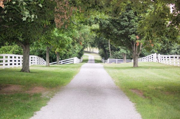 Gravel Driveway Construction in Brentwood