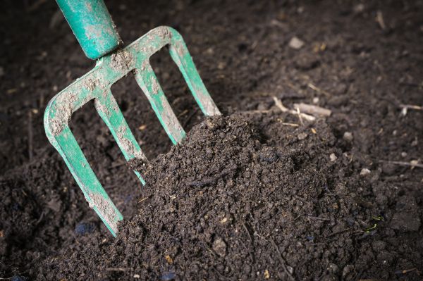Topsoil Spreading in Brentwood