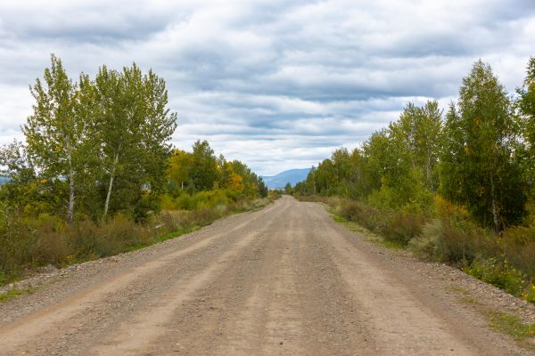 Dirt Road Repair in Brentwood
