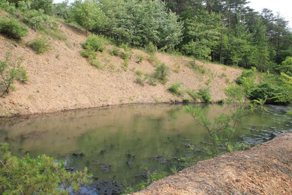 Pond Erosion Repair in Brentwood