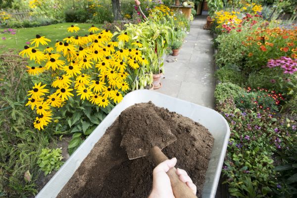 Soil Spreading in Brentwood