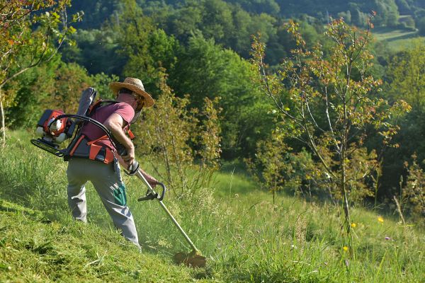 Cost of Slope Trimming in Brentwood